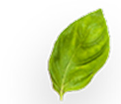 Pressure cooker manufacturers in Delhi, Hard Anodized Pressure Cooker Manufacturers