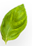 Aluminum pressure cooker manufacturers in India, Stainless Steel Pressure Cooker Suppliers, Stainless Steel Pressure Cooker Suppliers in Delhi